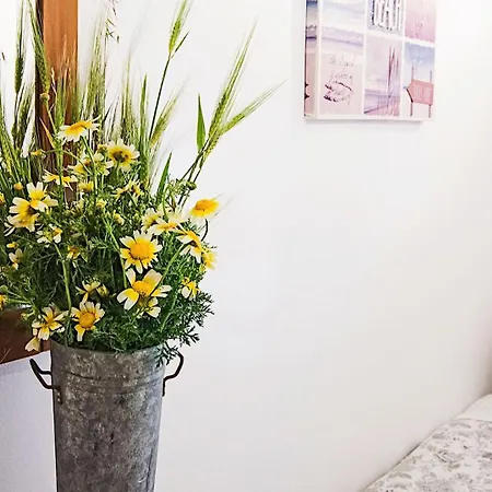 Appartamento Ageliki Kalogera *